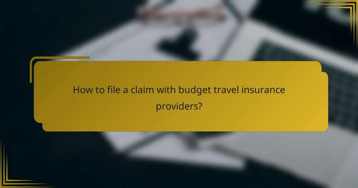 How to file a claim with budget travel insurance providers?