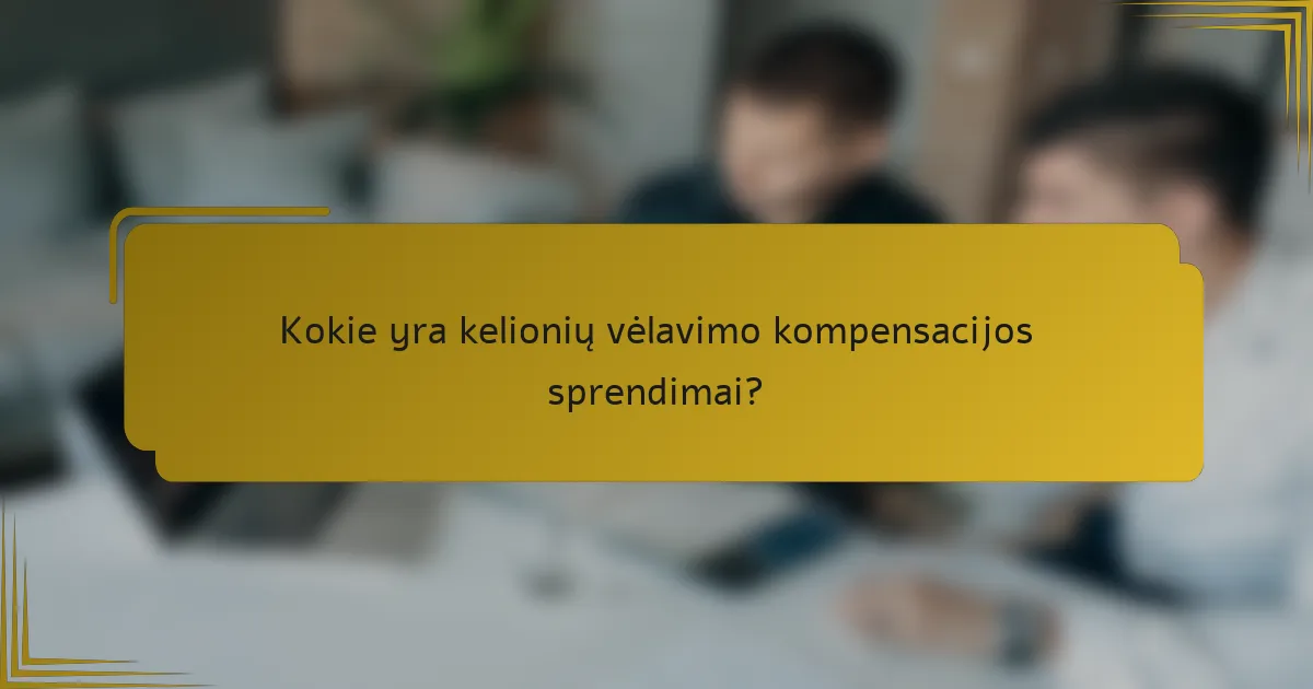Kokie yra kelionių vėlavimo kompensacijos sprendimai?
