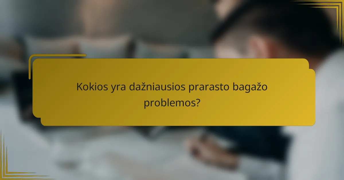Kokios yra dažniausios prarasto bagažo problemos?